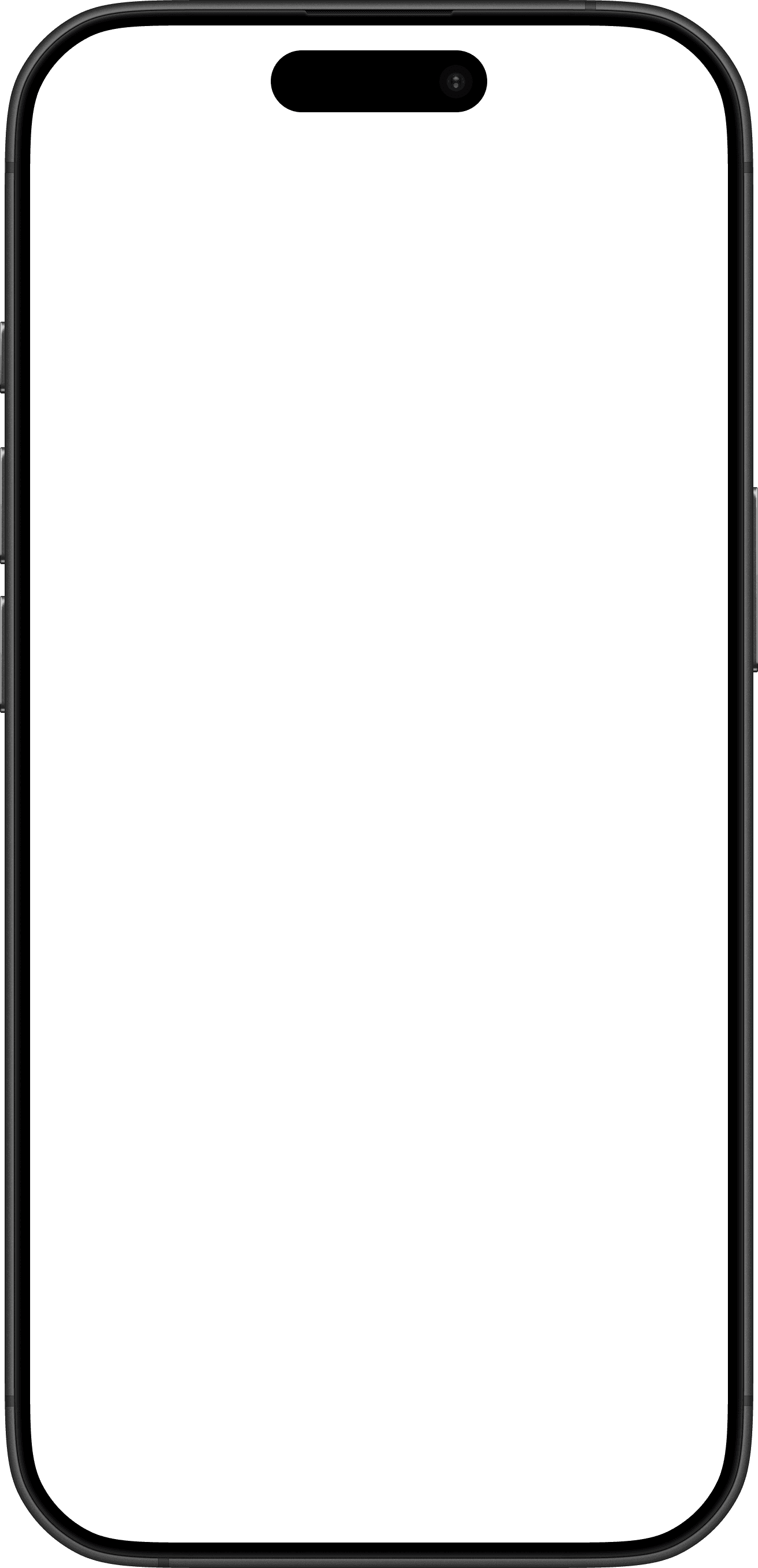 iPhone 16 Pro   frame